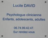 Logo DAVID Lucile